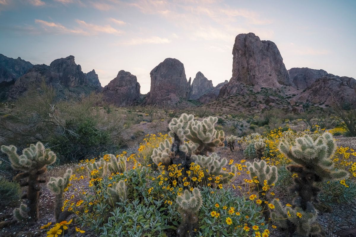 mysteries-of-arizonas-kofa-desert