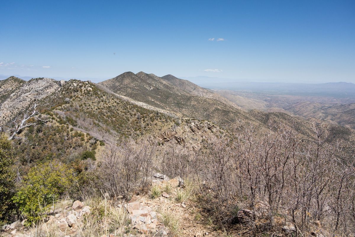 mysteries-of-arizonas-oracle-trails