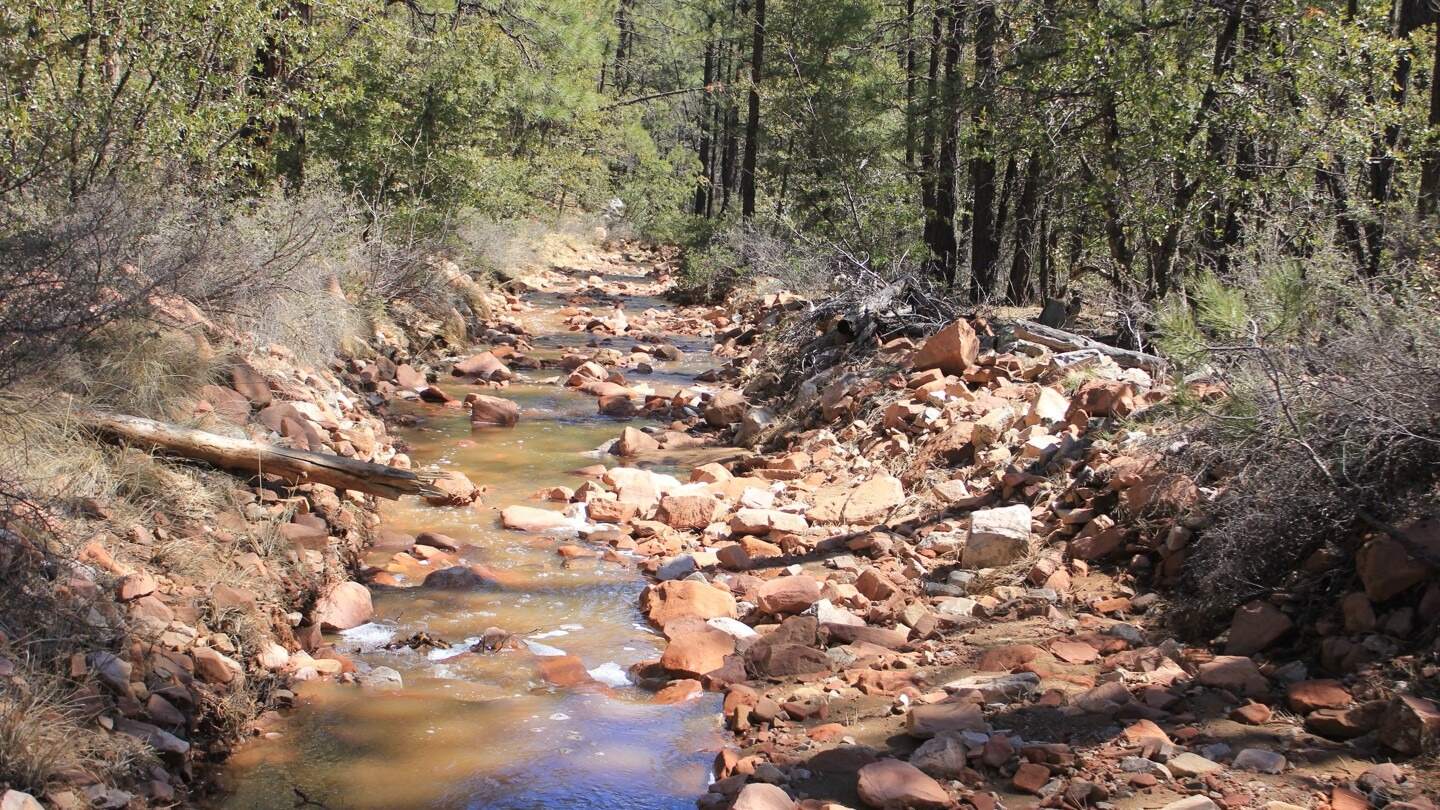 mysteries-of-arizonas-turkey-creek