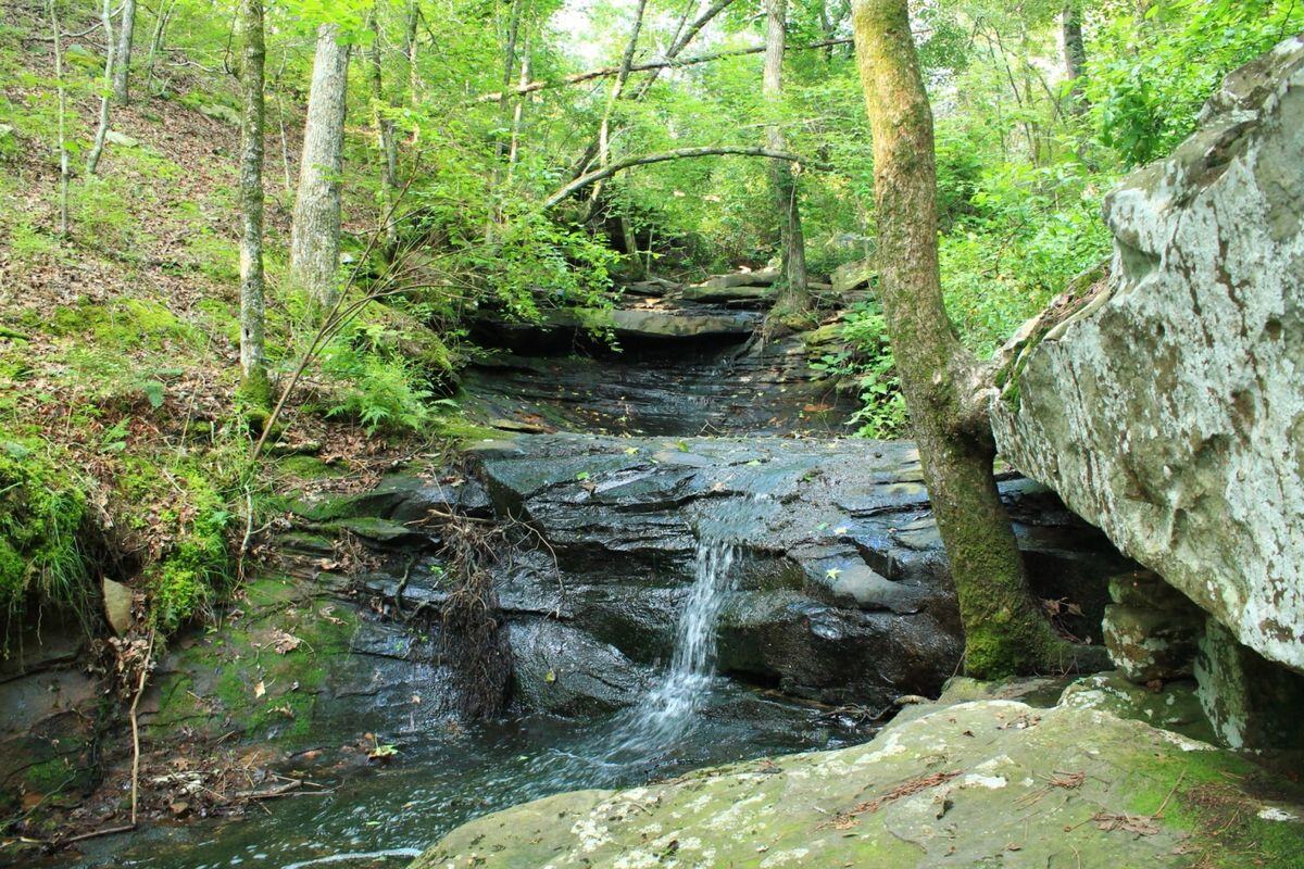 Mysteries-Of-Arkansas-Cedar-Creek-Petroglyphs mysteries-of-arkansas-cedar-creek-petroglyphs