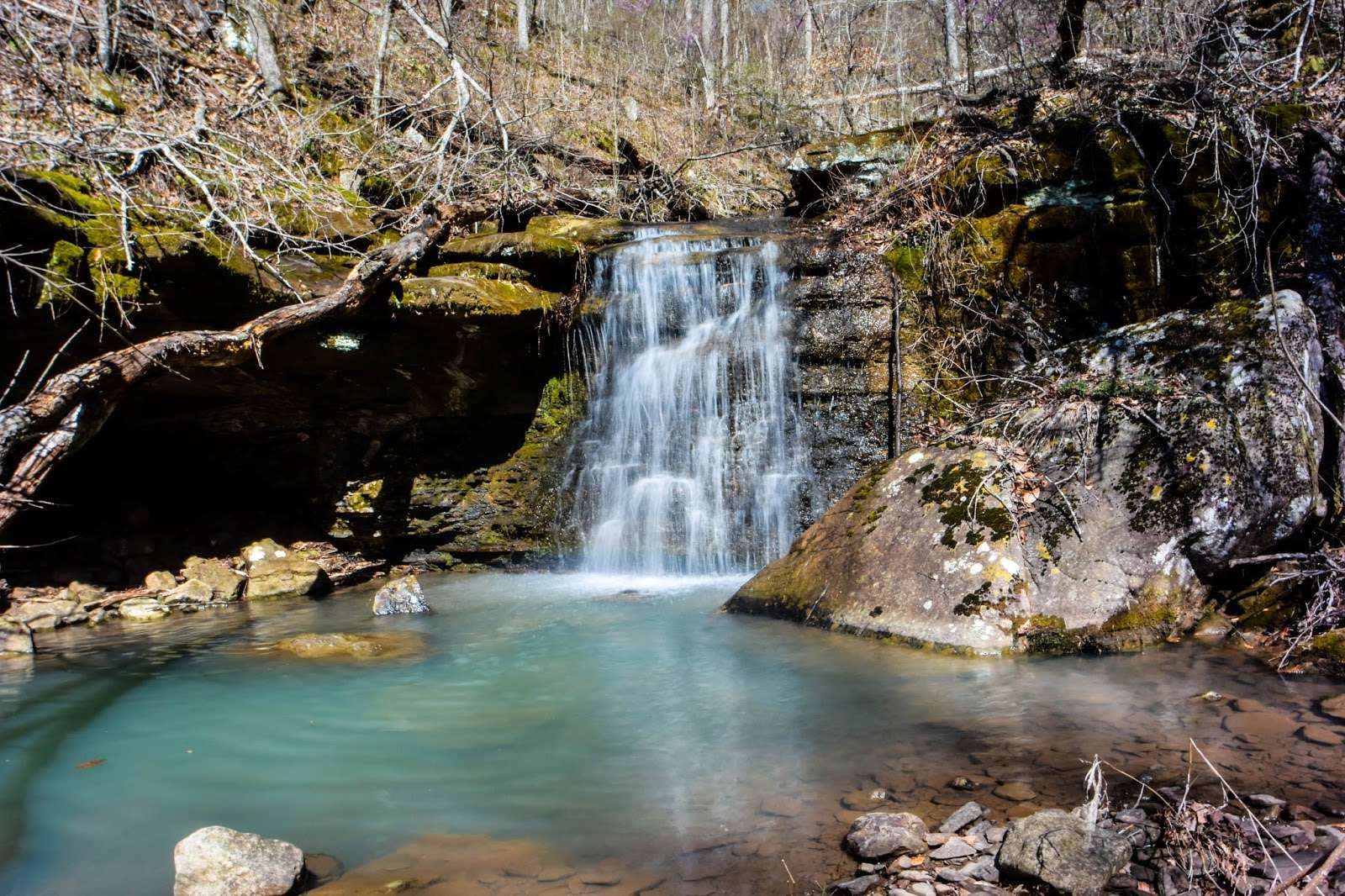 Mysteries-Of-Arkansas8217-Spring-Creek mysteries-of-arkansas-spring-creek