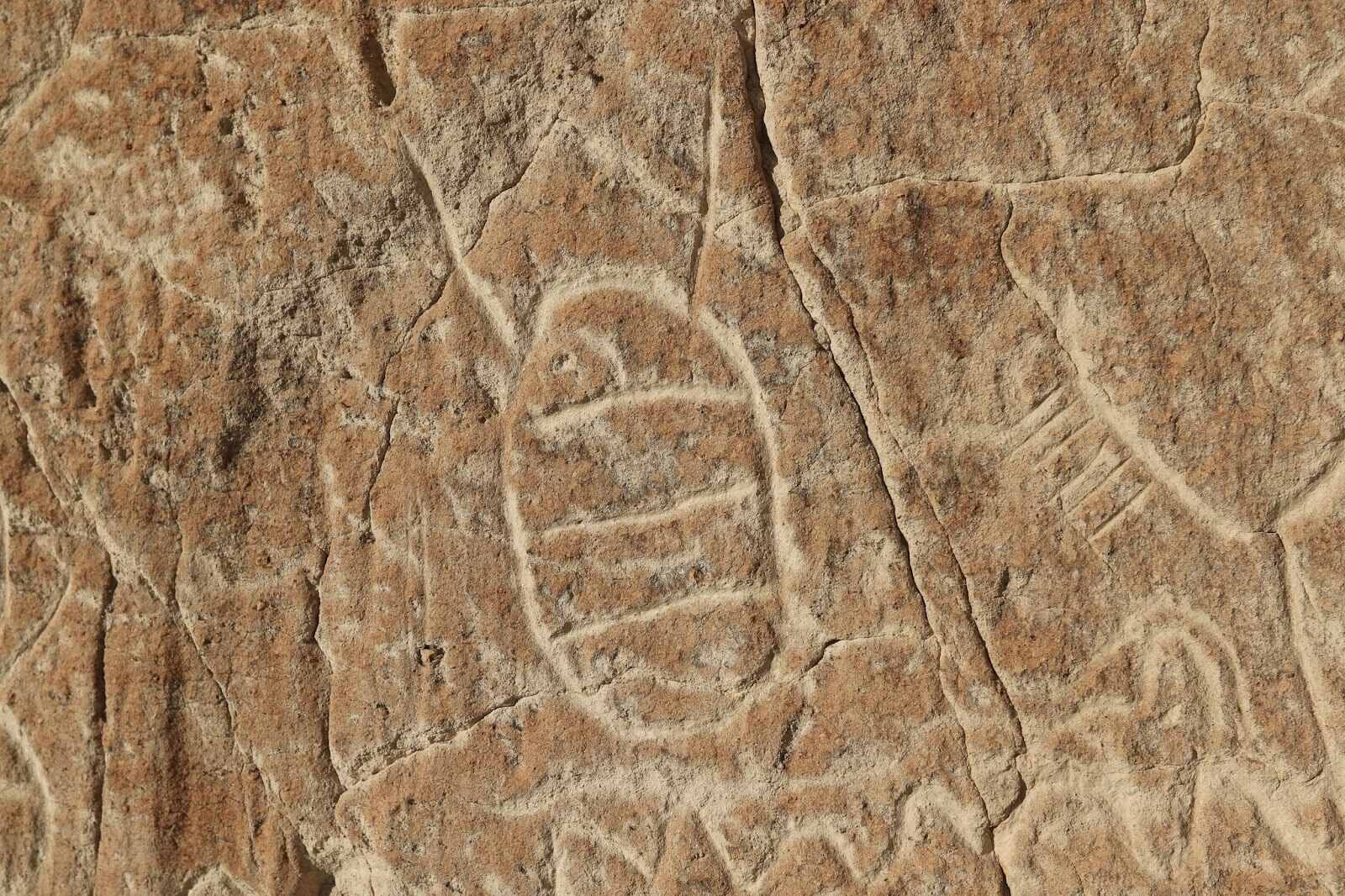 mysteries-of-arkansas-white-river-petroglyphs