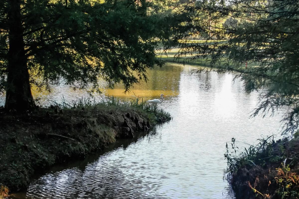 mysteries-of-brown-county-spirits