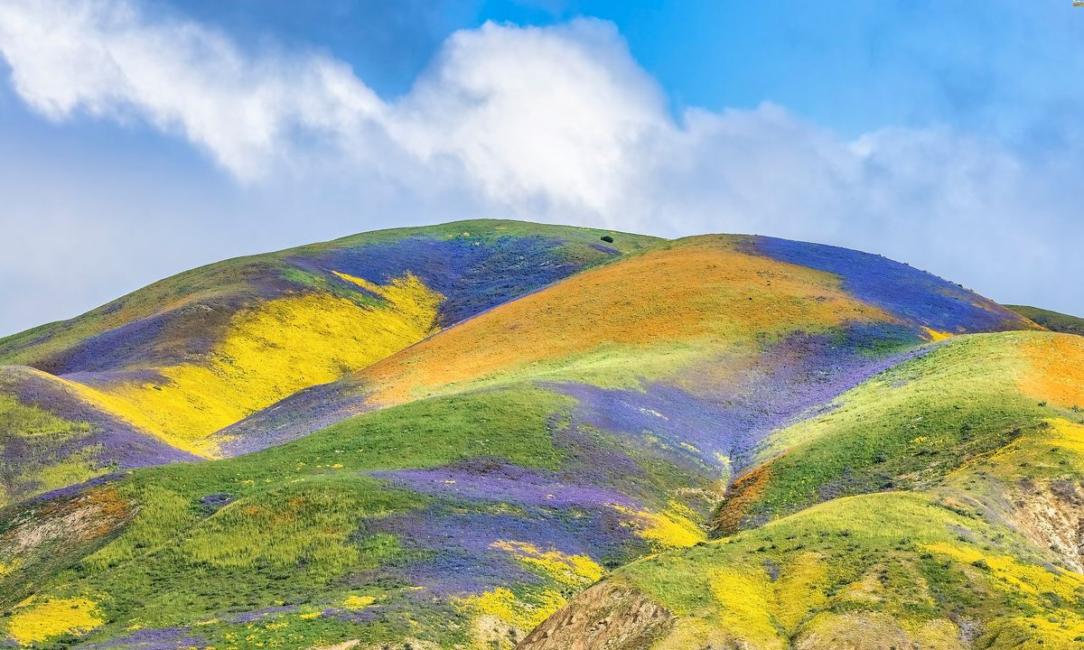 mysteries-of-californias-carrizo-plain