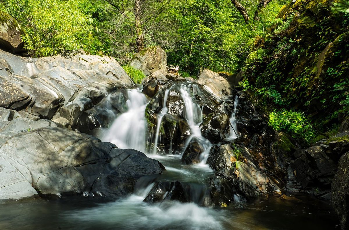 Mysteries-Of-California8217s-Fish-Falls-Waters mysteries-of-californias-fish-falls-waters