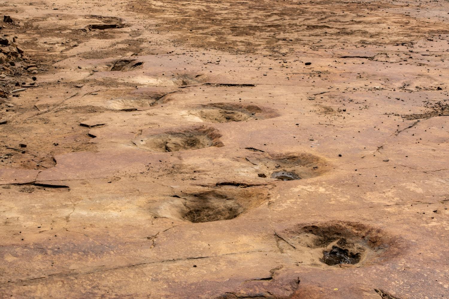 Mysteries-Of-Colorado8217s-San-Juan-Footprints mysteries-of-colorados-san-juan-footprints