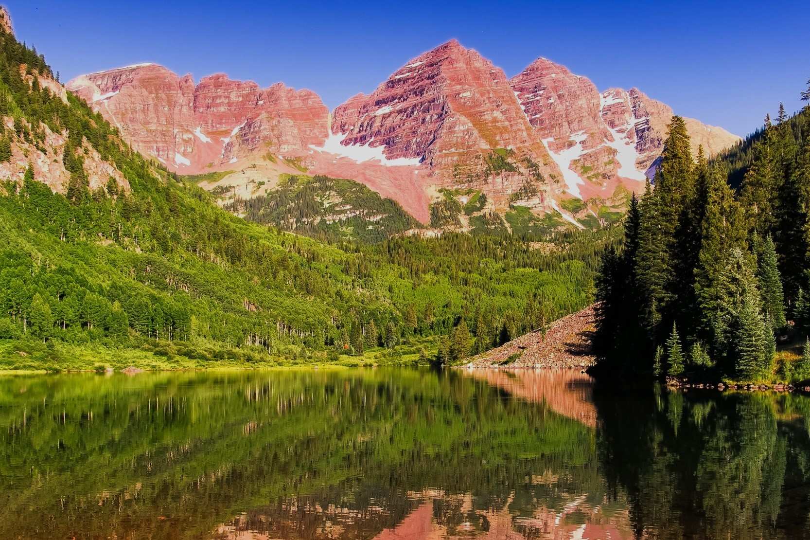 Mysteries-Of-Colorado8217s-Sawatch-Forest mysteries-of-colorados-sawatch-forest