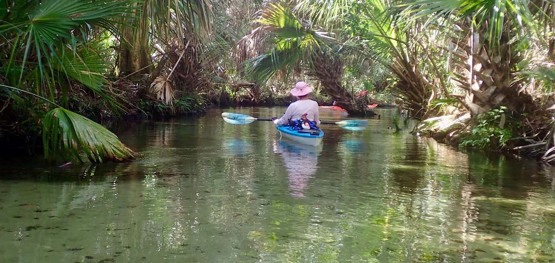 mysteries-of-floridas-juniper-run-waters
