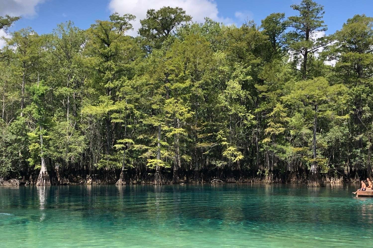 mysteries-of-floridas-morrison-spring