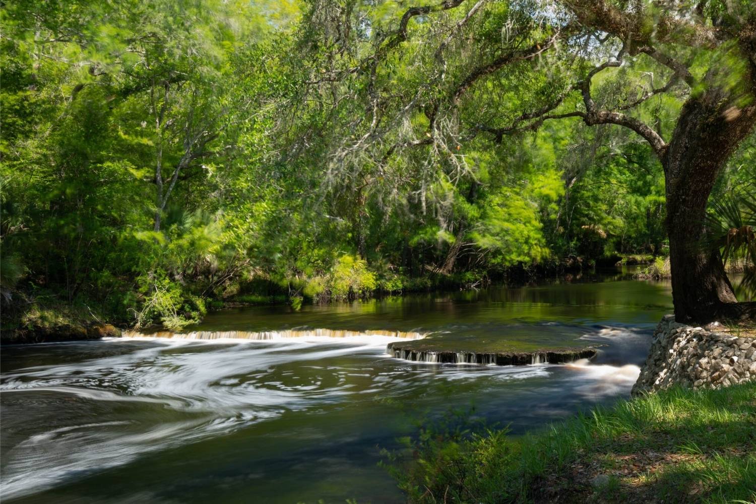 mysteries-of-floridas-steinhatchee-canyon