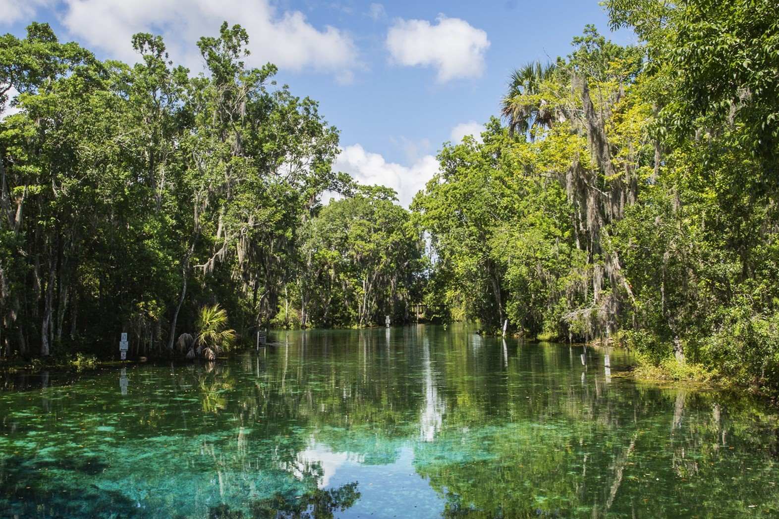 mysteries-of-floridas-three-sisters