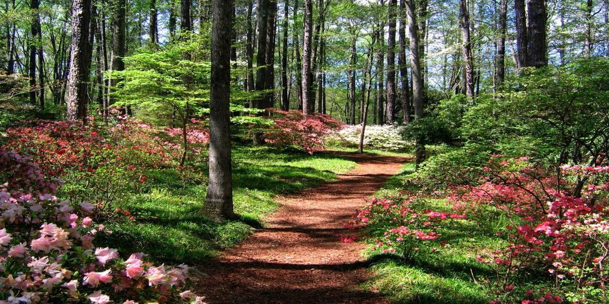 mysteries-of-georgia-callaway-gardens