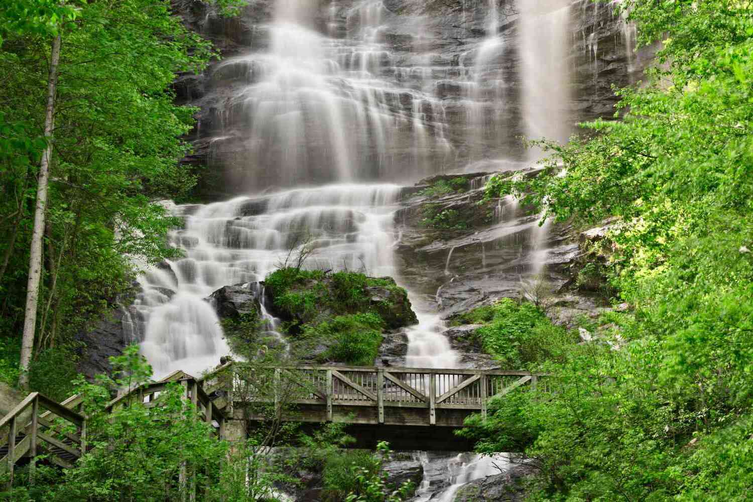 mysteries-of-georgias-chattahoochee-forest