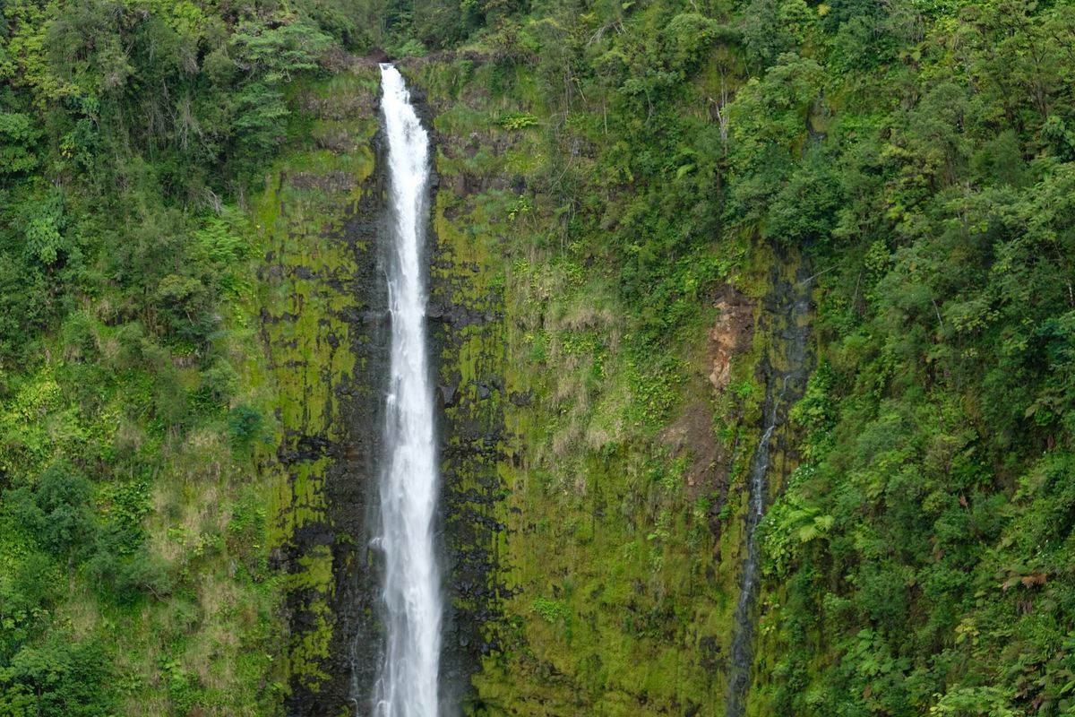 mysteries-of-hawaiis-akaka-valley-springs