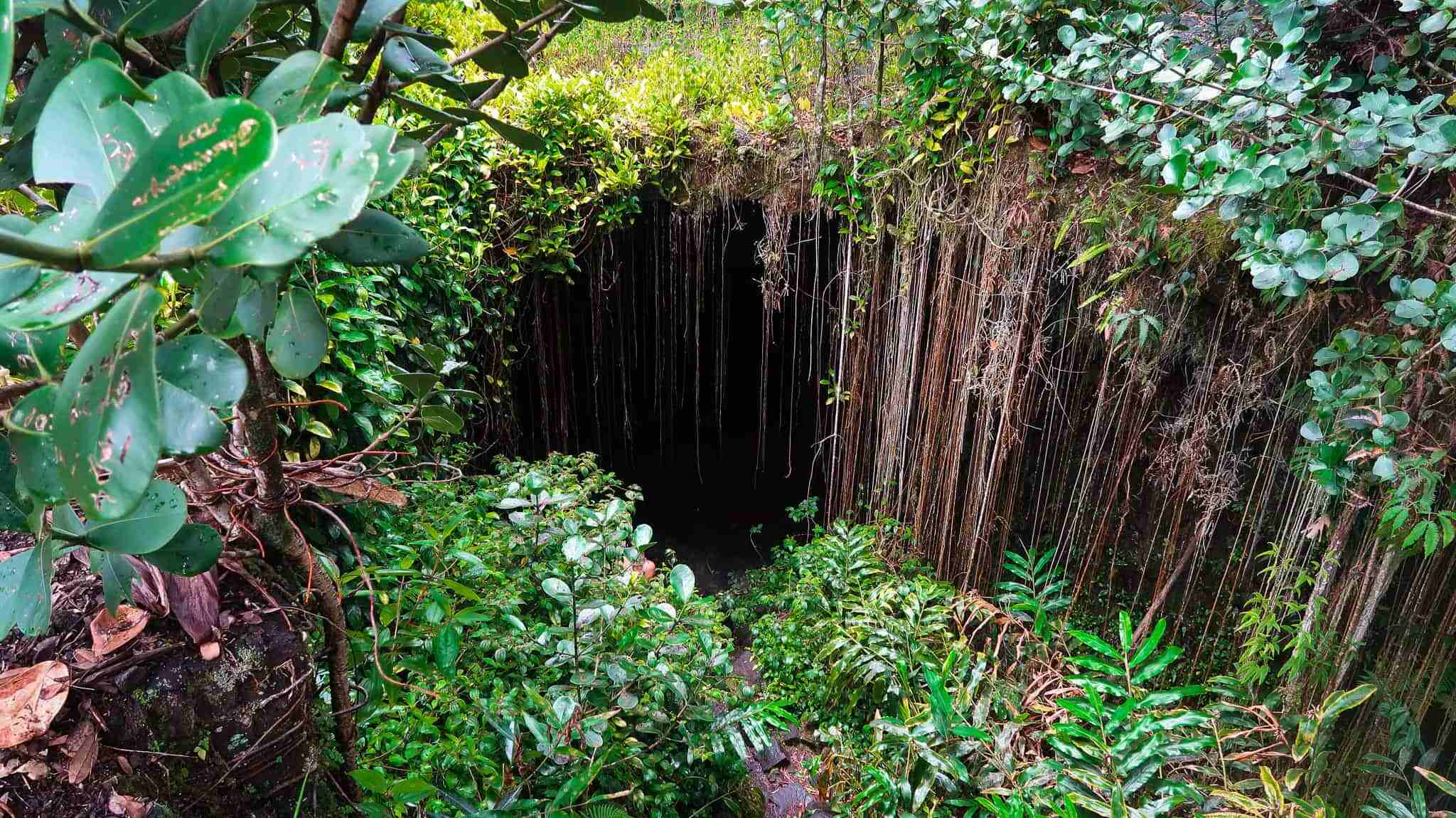 Mysteries-Of-Hawaiis-Kaumana-Caves mysteries-of-hawaiis-kaumana-caves