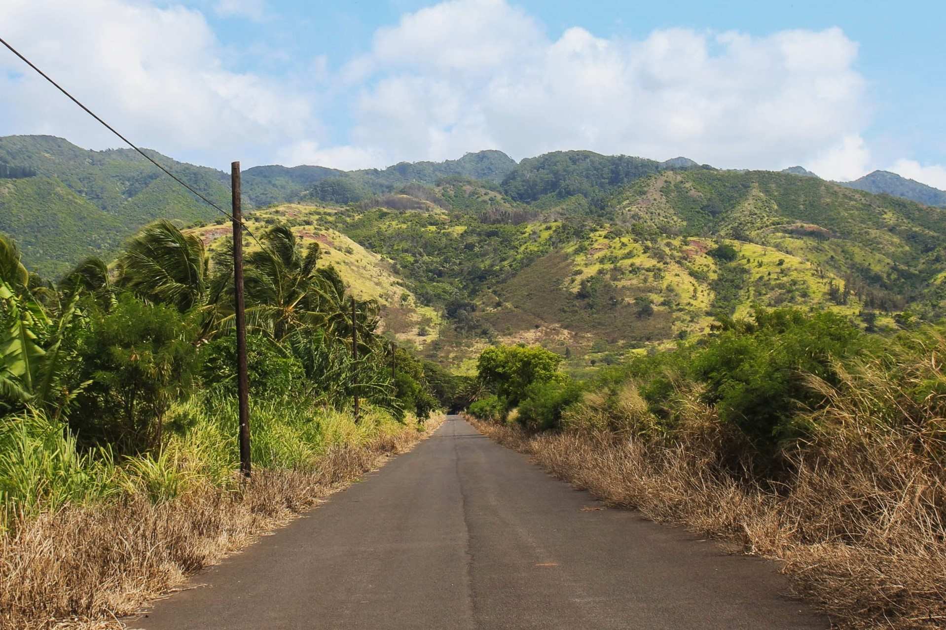 Mysteries-Of-Hawaiis-Mokuleia-Forest mysteries-of-hawaiis-mokuleia-forest