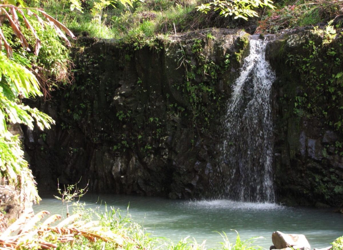 mysteries-of-hawaiis-polipoli-springs