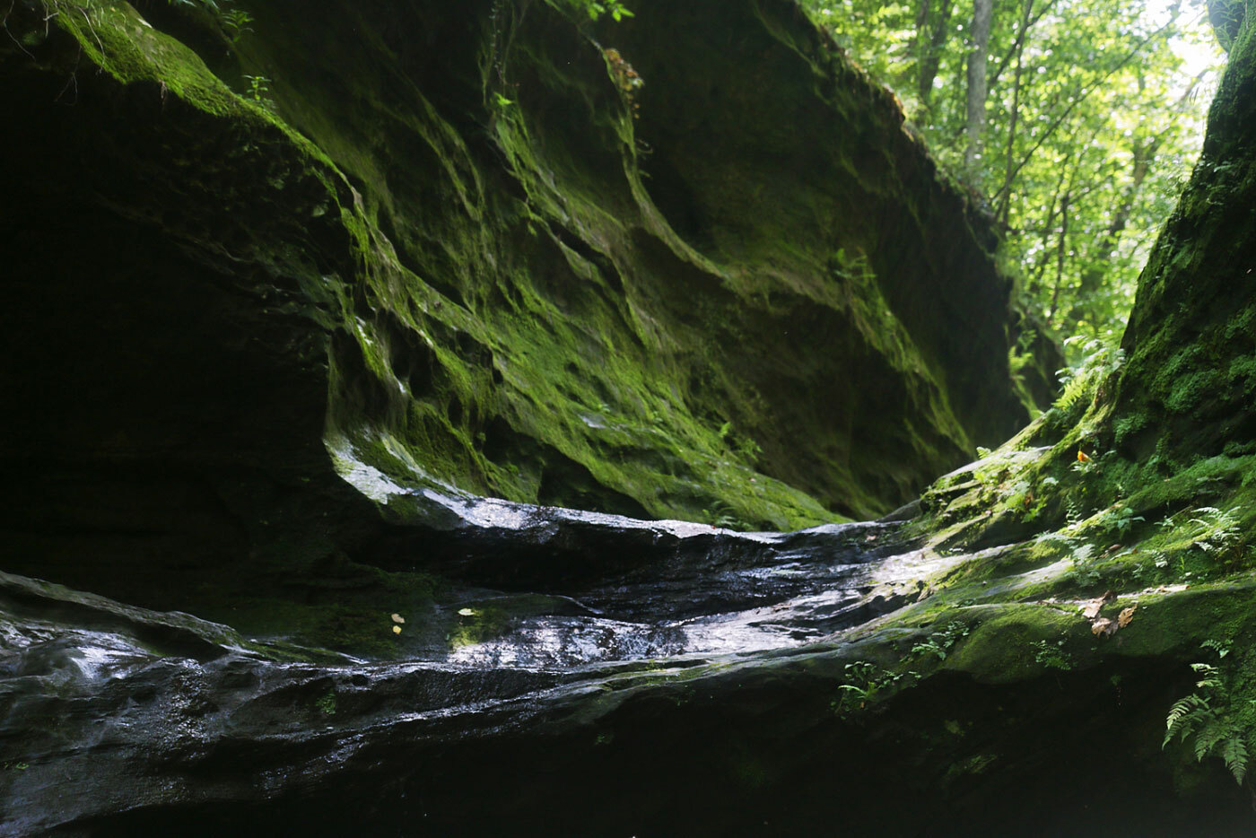 mysteries-of-illinois-little-grand-canyon-waters