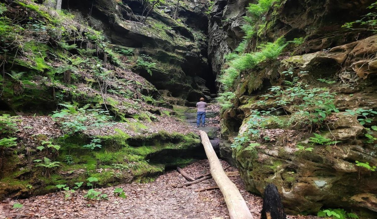 mysteries-of-illinois-snake-den-trails