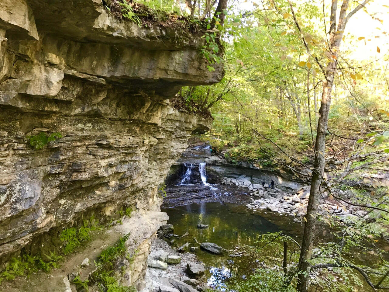 mysteries-of-indianas-mccormicks-creek-forest