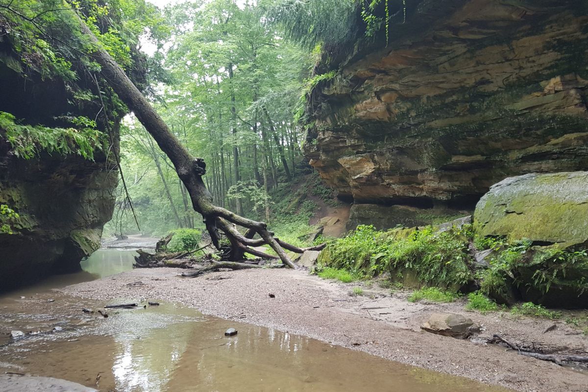 Mysteries-Of-Indianas-Turkey-Run mysteries-of-indianas-turkey-run
