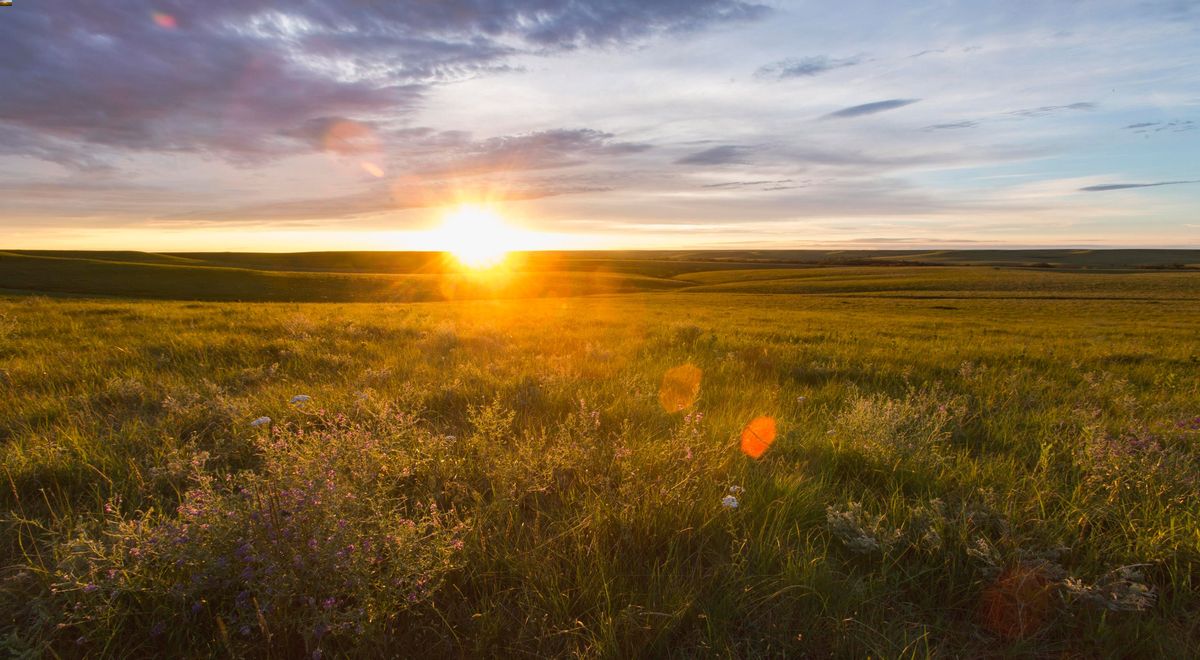 Mysteries-Of-Kansas-Tallgrass-Prairie mysteries-of-kansas-tallgrass-prairie
