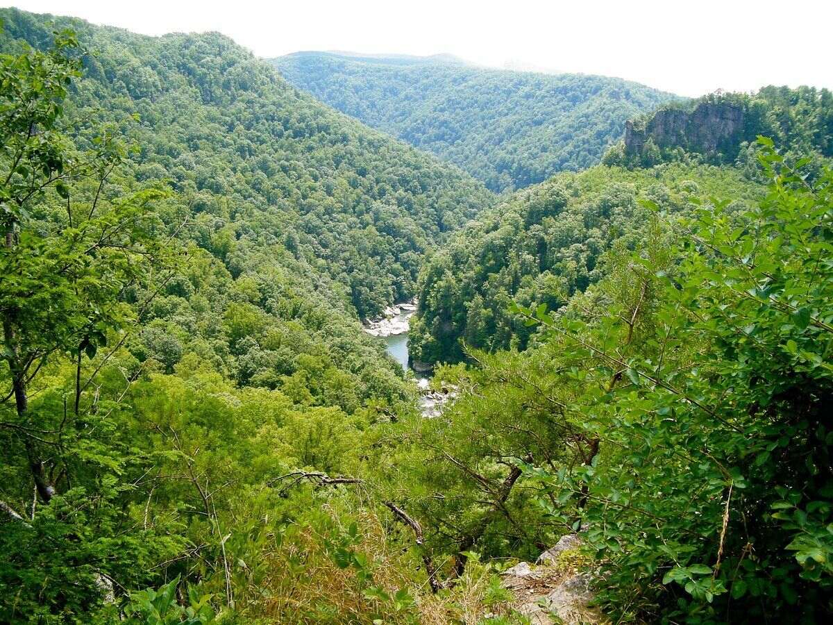 mysteries-of-kentuckys-breaks-forest