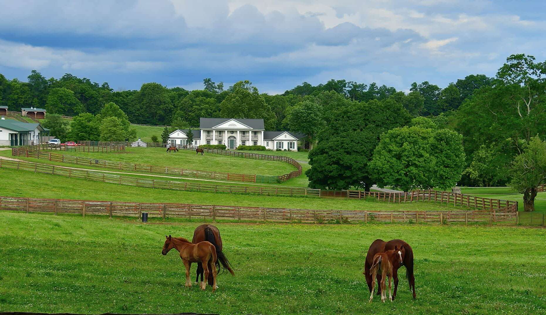 mysteries-of-kentuckys-horse-lick
