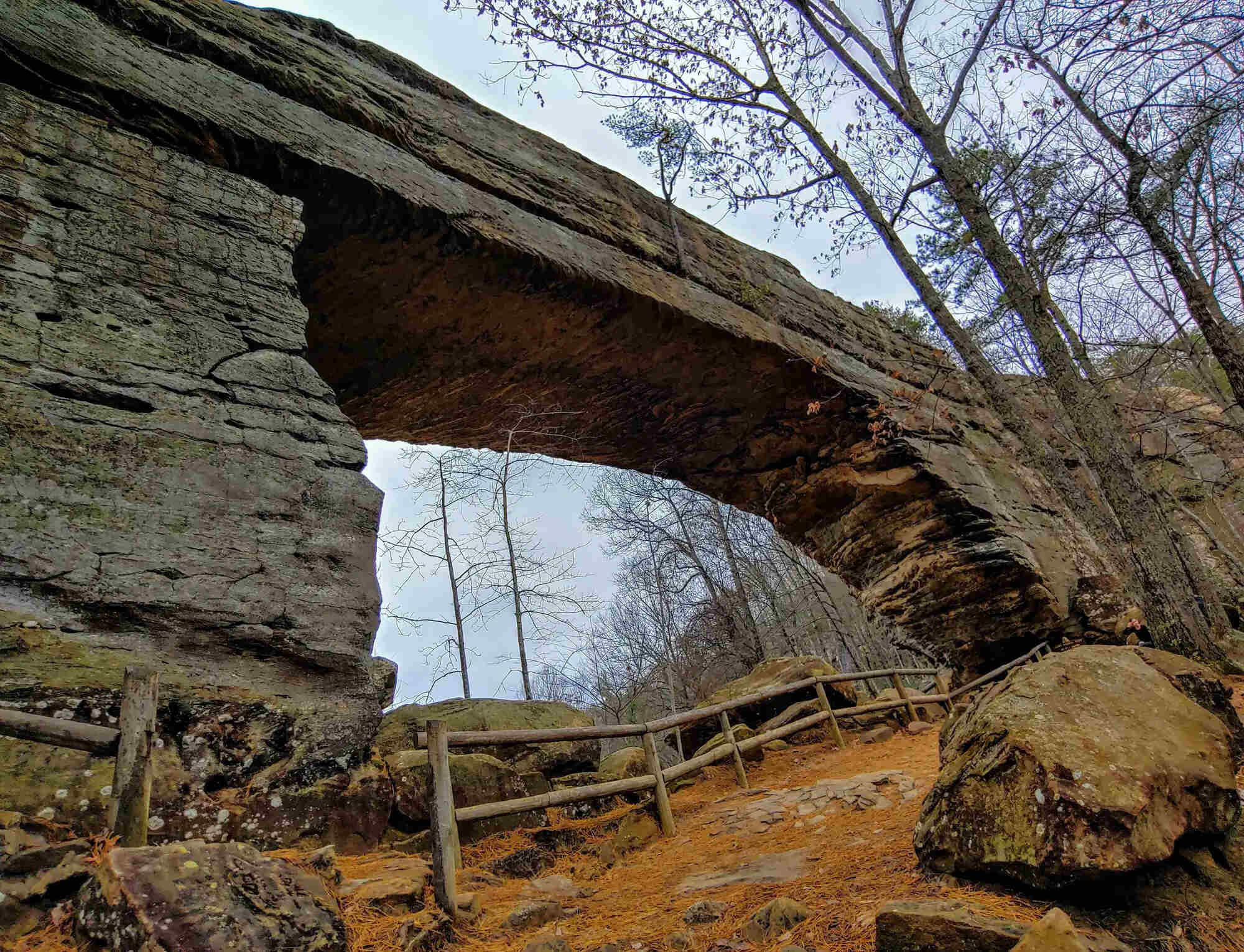 Mysteries-Of-Kentucky8217s-Natural-Bridge mysteries-of-kentuckys-natural-bridge