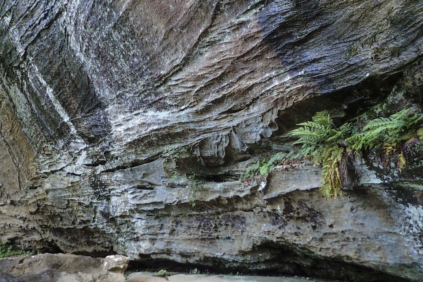 Mysteries-Of-Kentucky8217s-Red-River-Gorge-Waters mysteries-of-kentuckys-red-river-gorge-waters