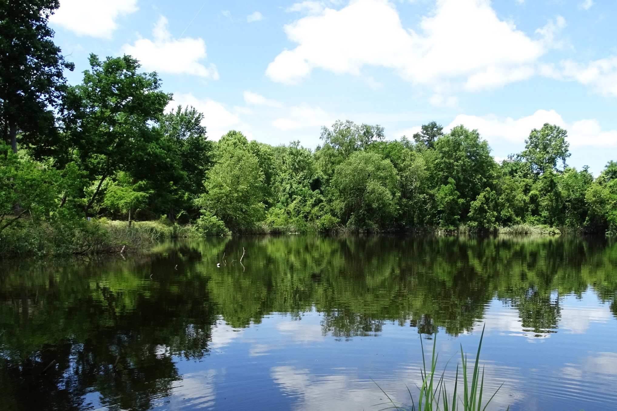 mysteries-of-louisianas-bogue-chitto-waters