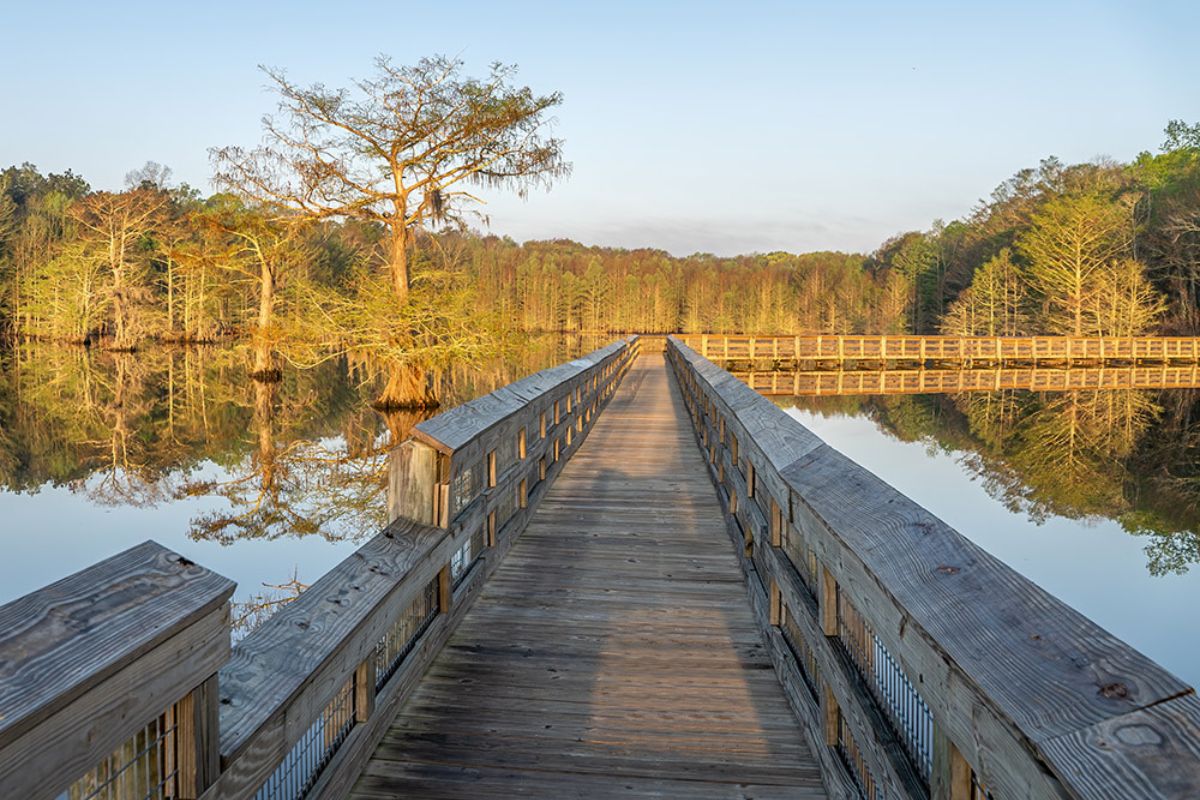 mysteries-of-louisianas-chicot-basin-trails