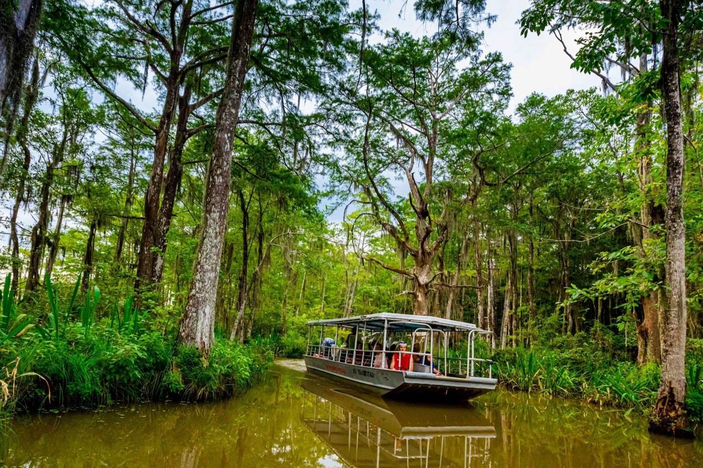mysteries-of-louisianas-honey-island-waters