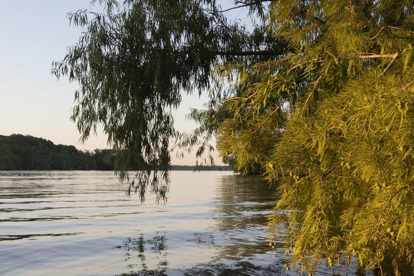 mysteries-of-louisianas-lake-fausse