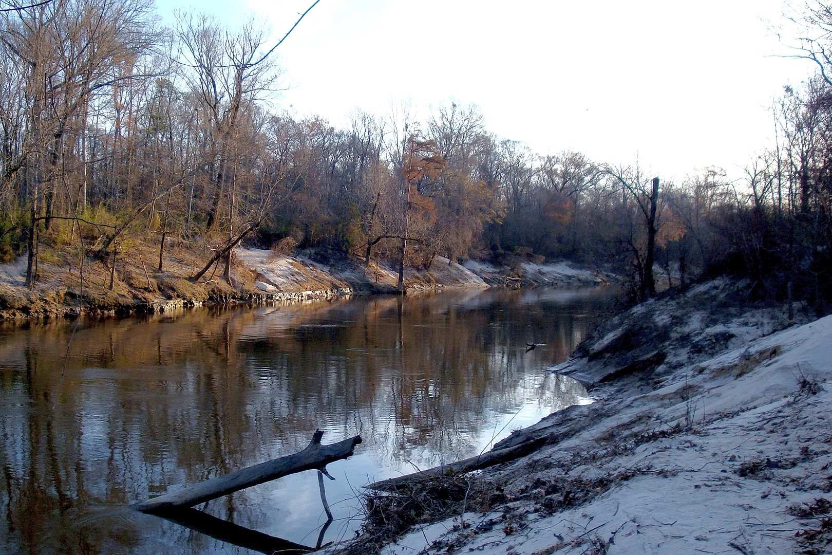 mysteries-of-louisianas-pearl-creek-paths