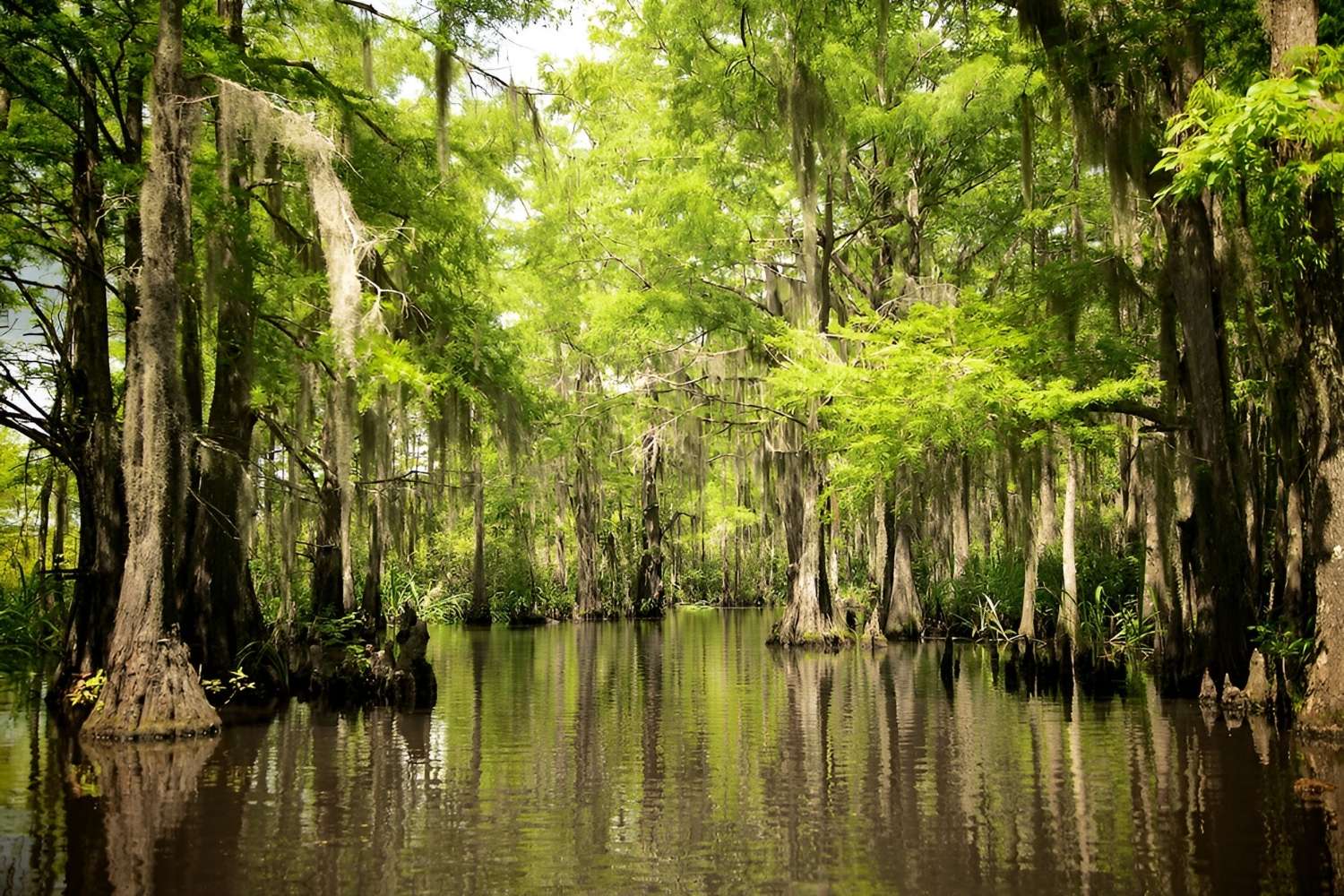 mysteries-of-louisianas-pearl-river