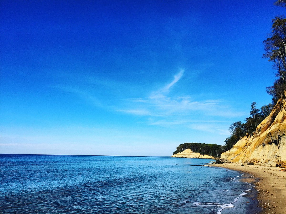 Mysteries-Of-Marylands-Calvert-Cliffs mysteries-of-marylands-calvert-cliffs
