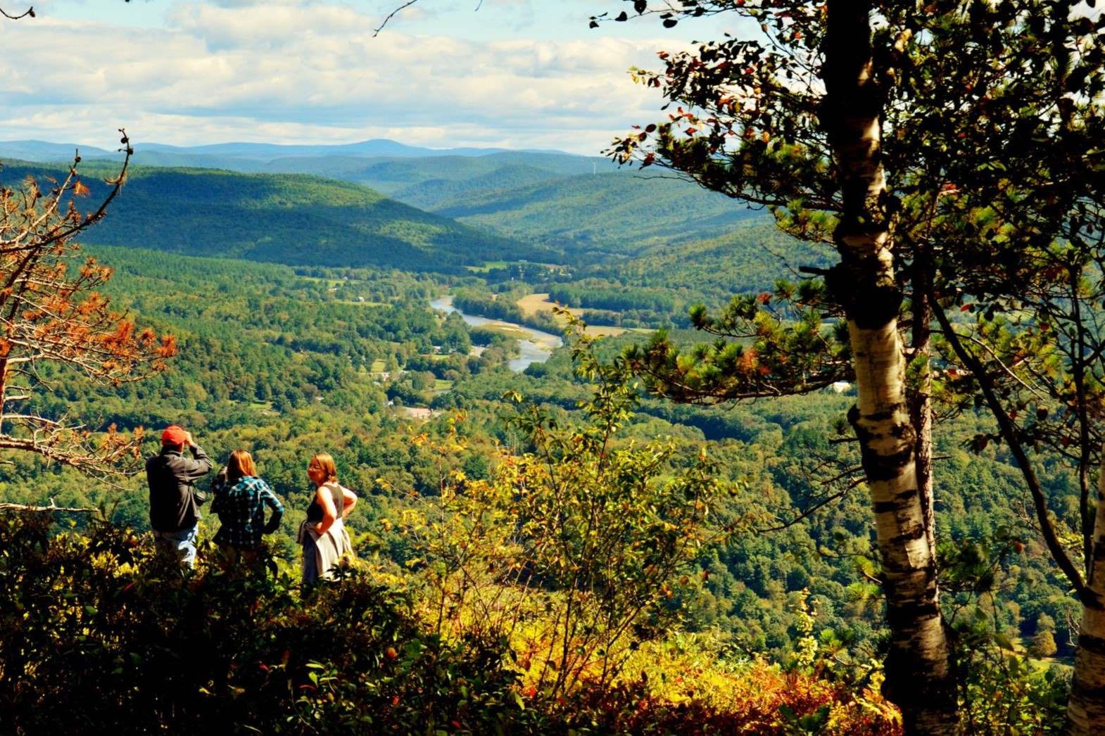 Mysteries-Of-Massachusetts8217-Mohawk-Forest mysteries-of-massachusetts-mohawk-forest