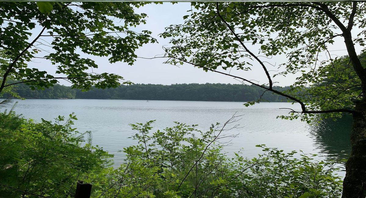 mysteries-of-massachusetts-walden-pond