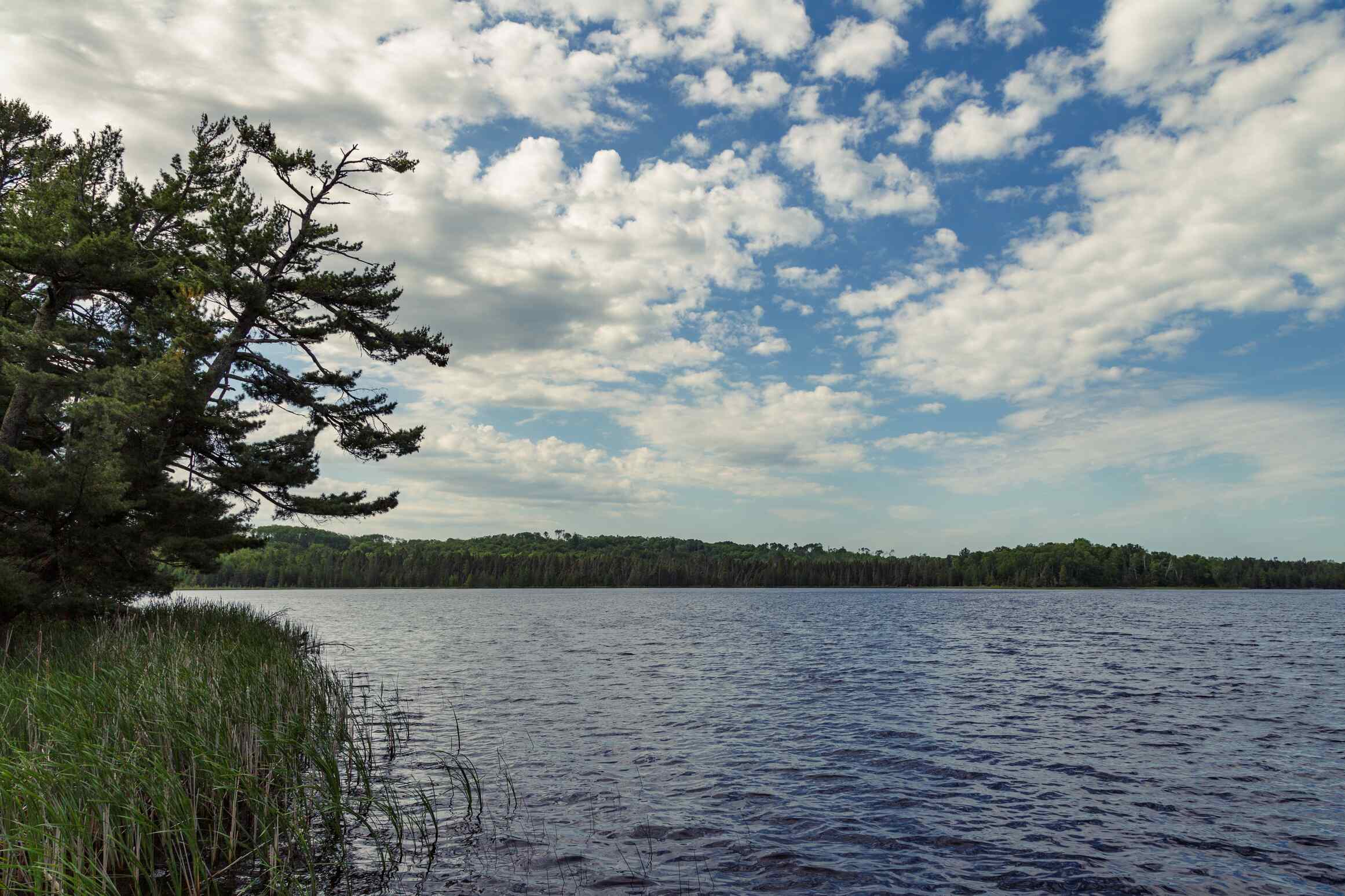 Mysteries-Of-Minnesota8217s-Wolf-Lake mysteries-of-minnesotas-wolf-lake