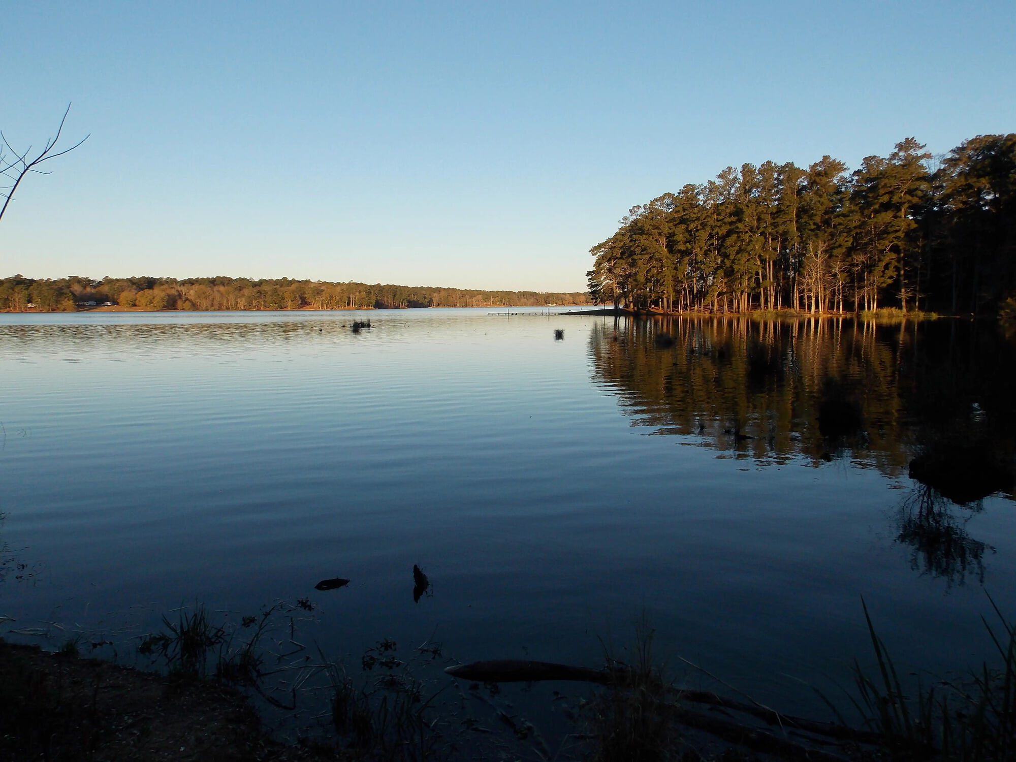 mysteries-of-mississippis-clear-springs