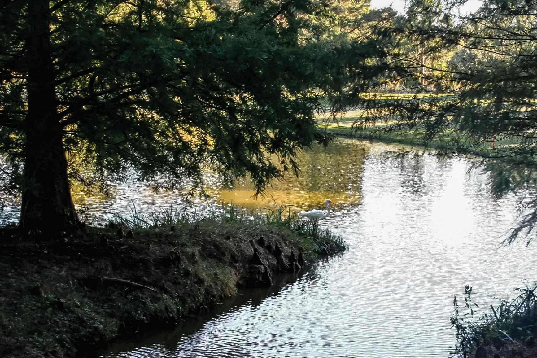 Mysteries-Of-Mississippi8217s-Ghost-River mysteries-of-mississippis-ghost-river