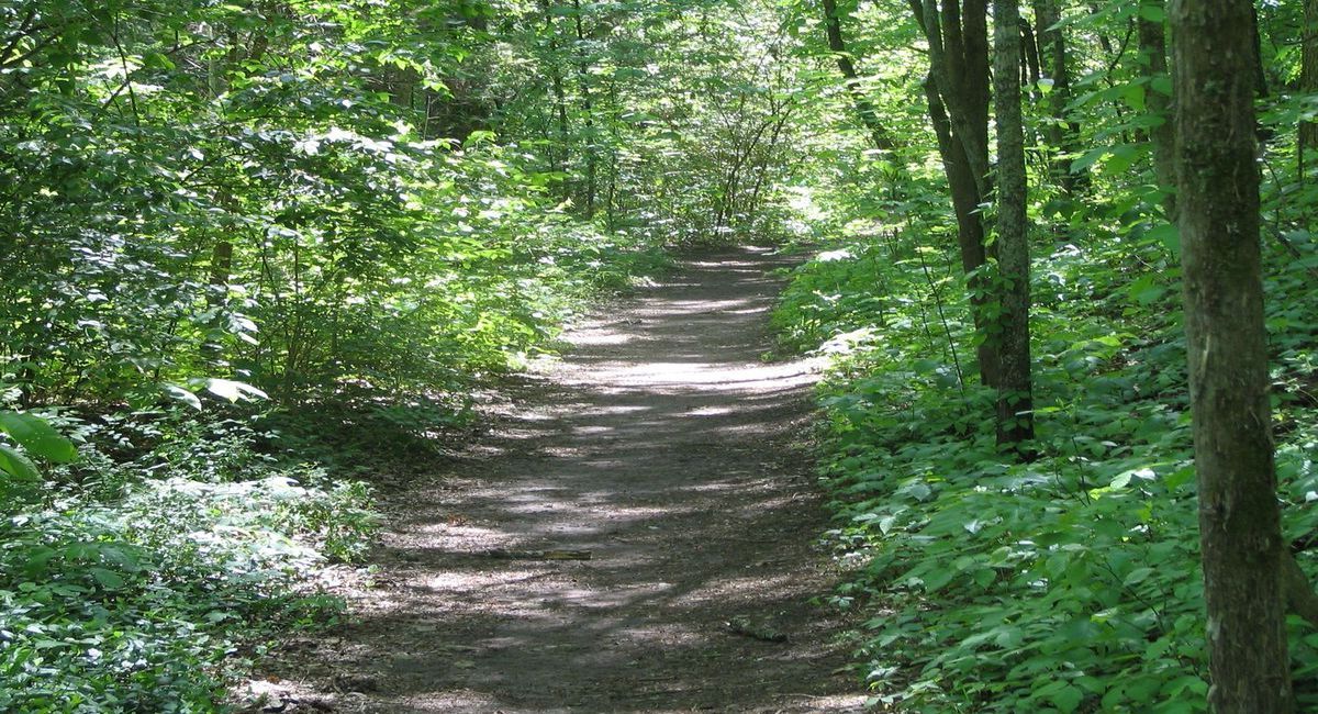 mysteries-of-mississippis-natchez-trails