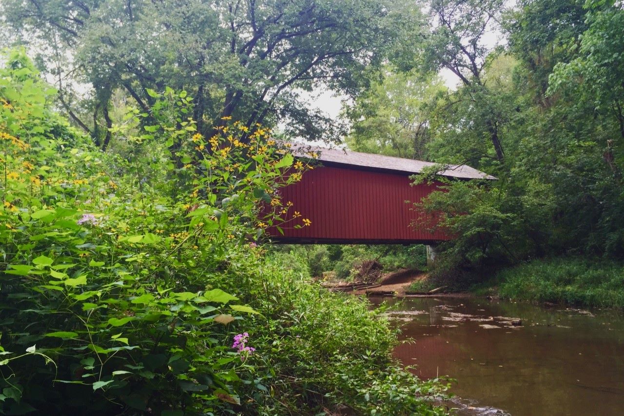 mysteries-of-mississippis-sandy-creek