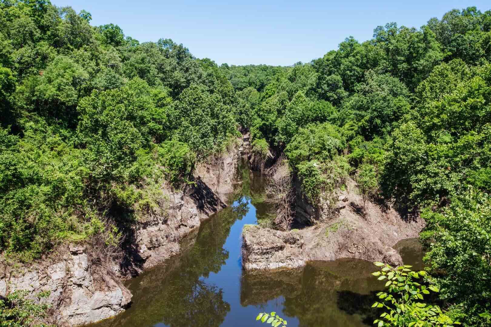 Mysteries-Of-Missouri8217s-Grand-Gulf-Forest mysteries-of-missouris-grand-gulf-forest