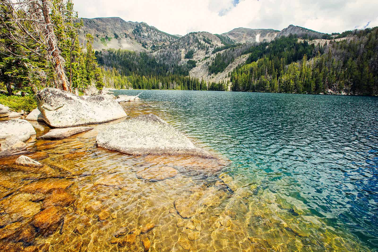 Mysteries-Of-Montana8217s-Beaverhead-Forest mysteries-of-montanas-beaverhead-forest