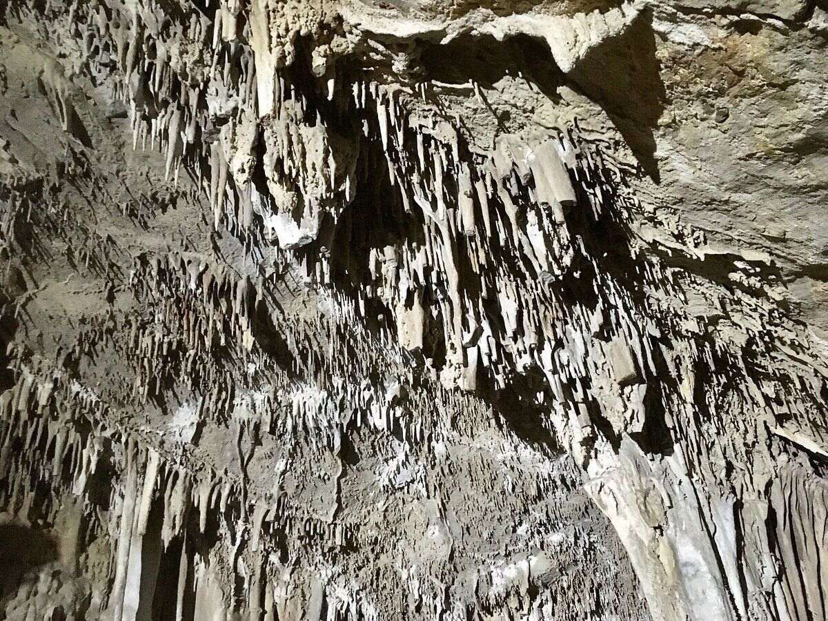 mysteries-of-montanas-lewis-canyon-caves