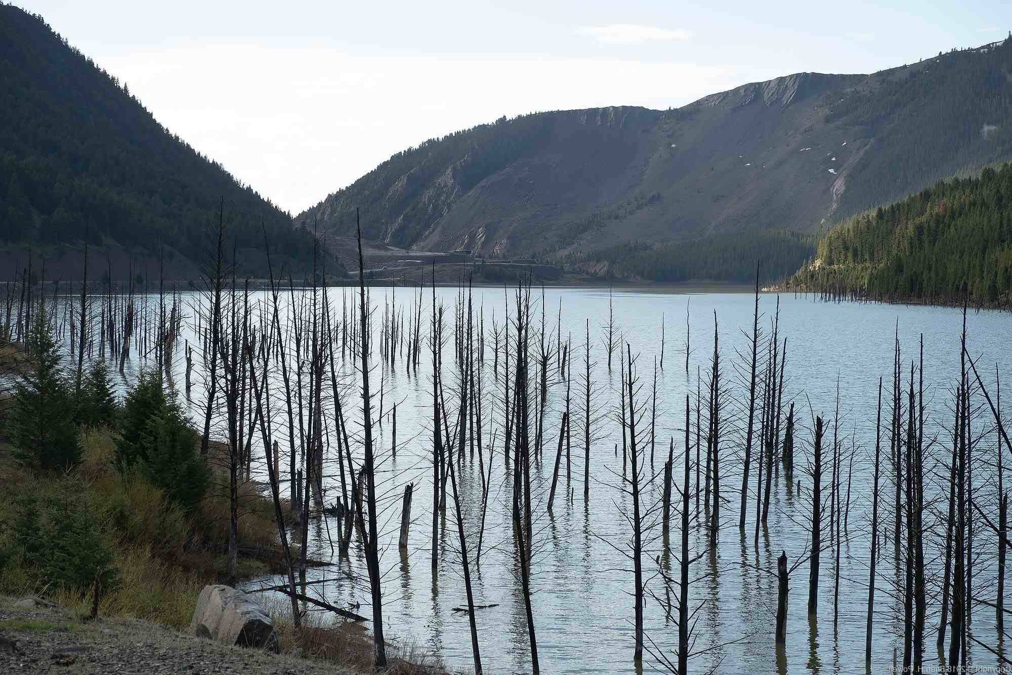 mysteries-of-montanas-quake-lake