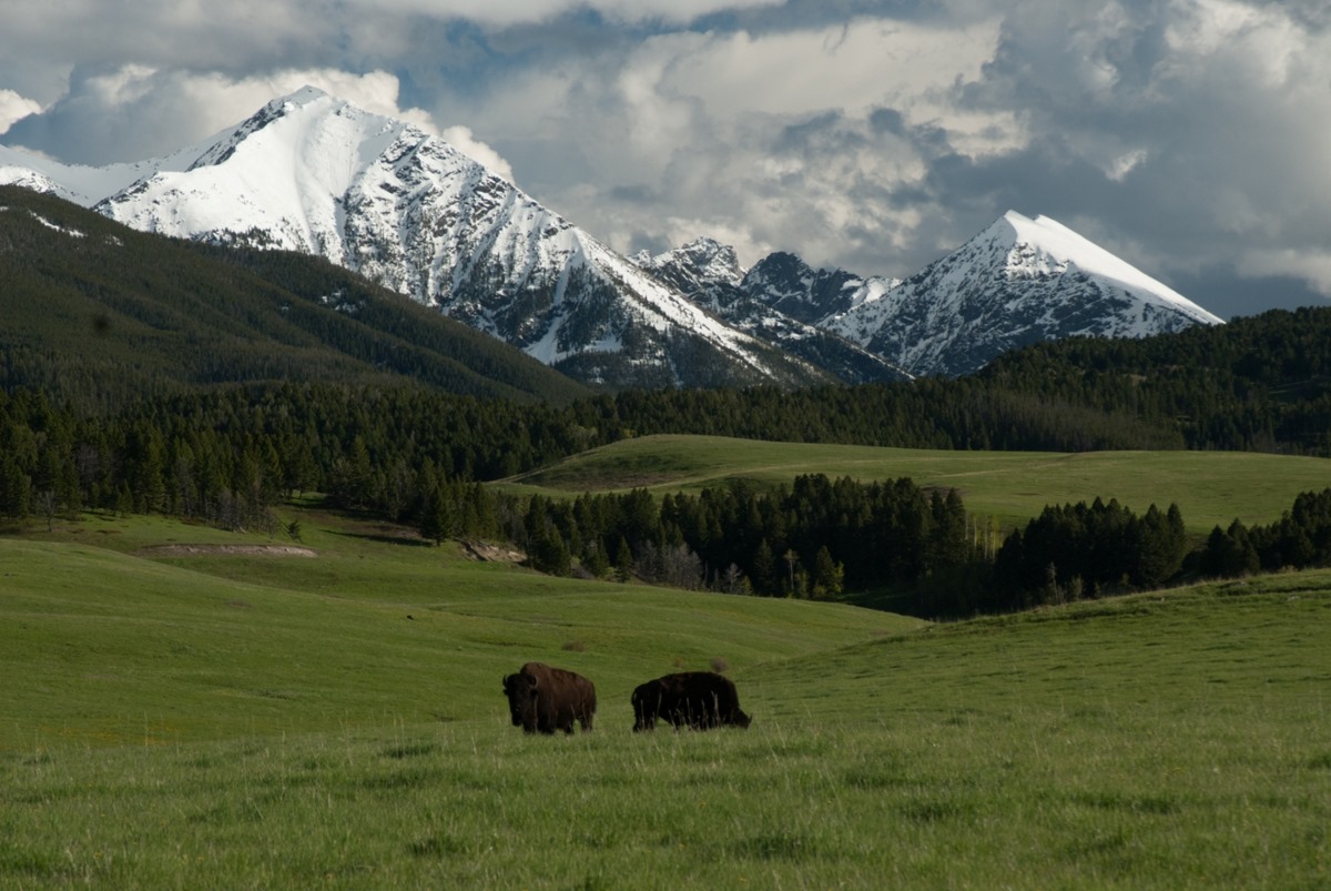 mysteries-of-montanas-spanish-peaks-camps