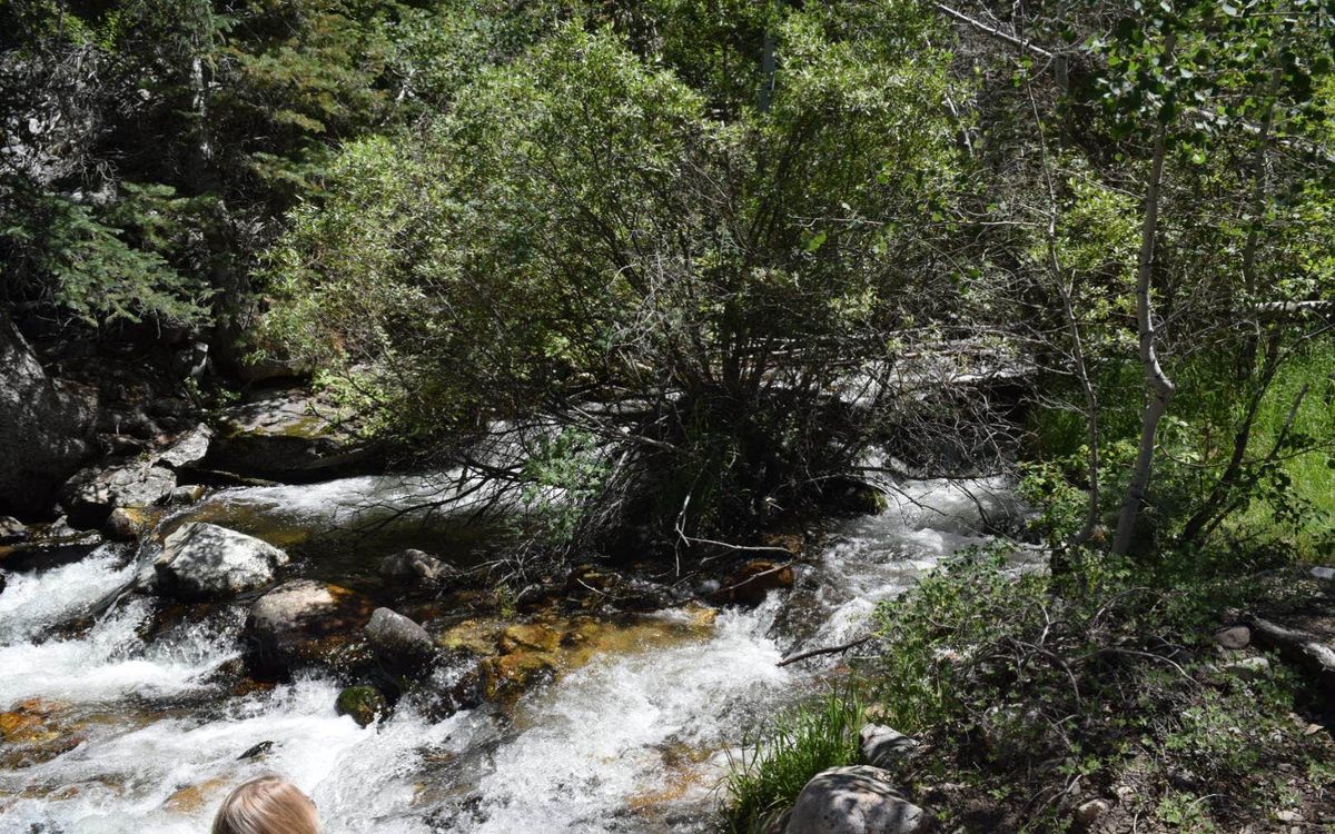 Mysteries-Of-Nevada8217s-Baker-Creek mysteries-of-nevadas-baker-creek